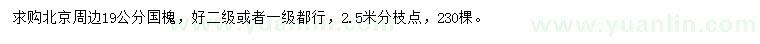 求購(gòu)19公分國(guó)槐