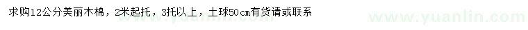 求購(gòu)12公分美麗木棉