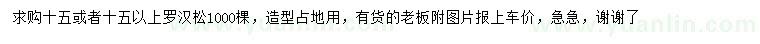求購15或15公分以上羅漢松