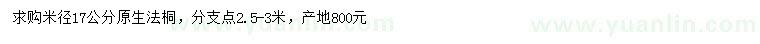求購米徑17公分法桐