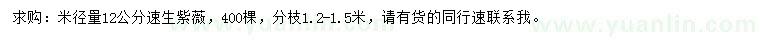 求購米徑12公分紫薇