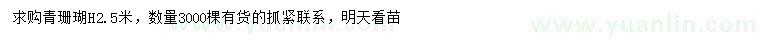 求購高2.5米青珊瑚