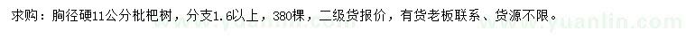 求購胸徑11公分枇杷樹