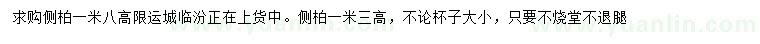 求購高1.3、1.8米側(cè)柏