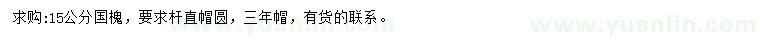 求購15公分國槐