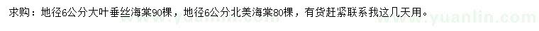 求購地徑6公分大葉垂絲海棠、北美海棠