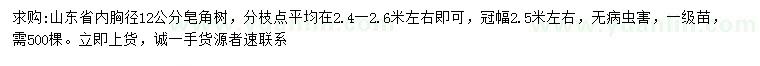 求購(gòu)胸徑12公分皂角樹(shù)