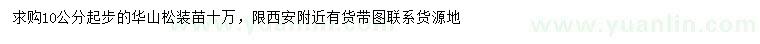 求購10公分起步華山松