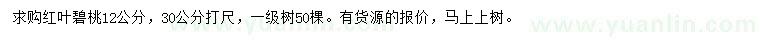 求購30公分打尺12公分紅葉碧桃