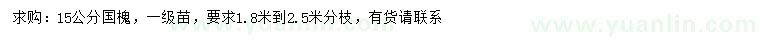 求購15公分國槐