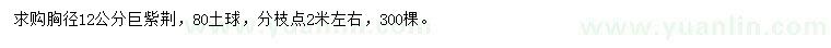 求購胸徑12公分巨紫荊