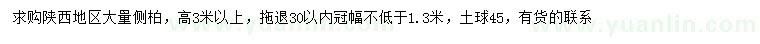 求購高3米以上側(cè)柏