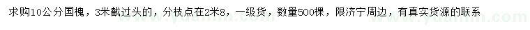求購10公分國槐