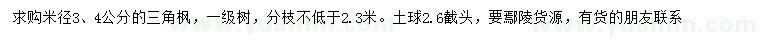 求購米徑3、4公分三角楓
