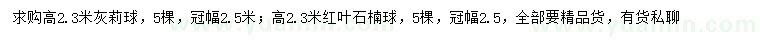 求購高2.3米灰莉球、紅葉石楠球