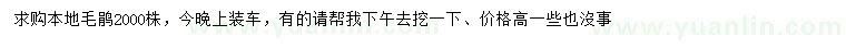 求購本地毛鵑
