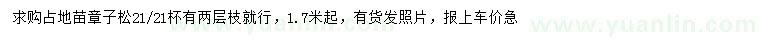 求購(gòu)1.7米起樟子松