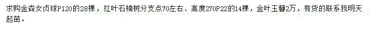 求購金森女貞球、紅葉石楠、金葉玉簪