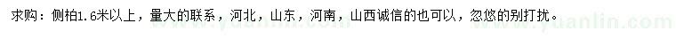 求購高1.6米以上側(cè)柏