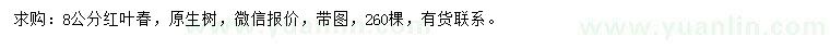 求購8公分紅葉春