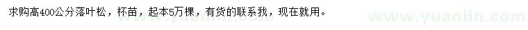 求購高400公分落葉松