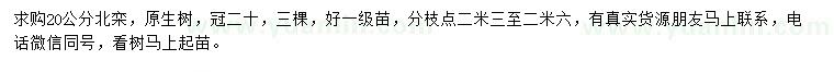 求購20公分北欒