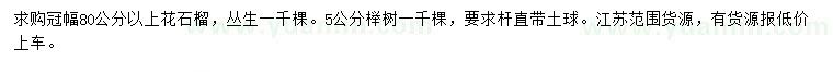 求購冠幅80公分以上花石榴、5公分櫸樹