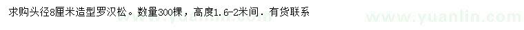 求購頭徑8公分造型羅漢松