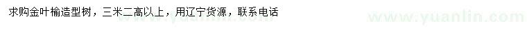 求購高3.2米以上金葉榆