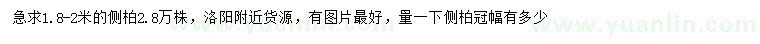 求購1.8-2米側(cè)柏