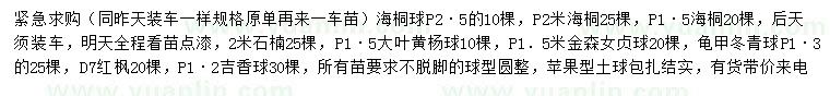 求購(gòu)海桐球、石楠、大葉黃楊球等