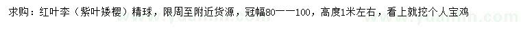 求購冠幅80-100公分紅葉李