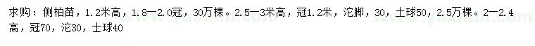 求購高1.2、2一2.4、2.5-3米側柏