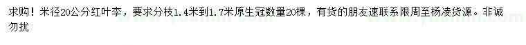 求購米徑20公分紅葉李