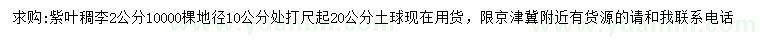 求購地徑10公分處打尺2公分紫葉稠李