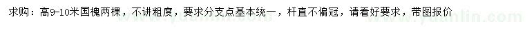 求購高9-10米國槐