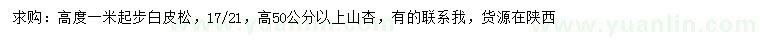 求購高1米起步白皮松、高50公分以上山杏
