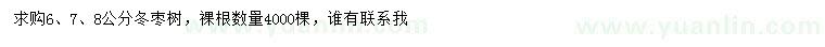 求購(gòu)6、7、8公分冬棗樹(shù)