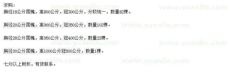 求購(gòu)胸徑18、20、28、30公分國(guó)槐