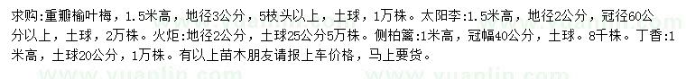 求購重瓣榆葉梅、太陽李、火炬等