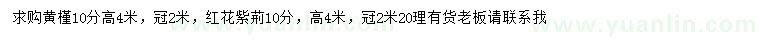 求購(gòu)10公分黃槿高、紅花紫荊