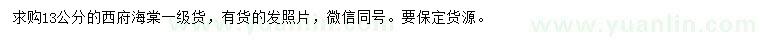 求購13公分西府海棠