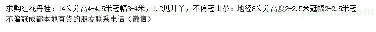 求購14公分紅花丹桂、地徑8公分山茶