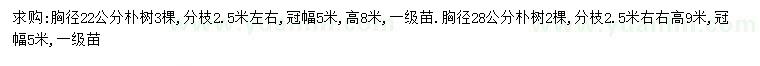 求購胸徑22、28公分樸樹