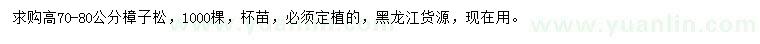 求購(gòu)高70-80公分樟子松
