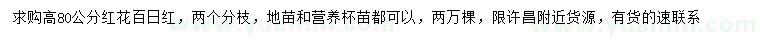 求購(gòu)高80公分紅花百日紅