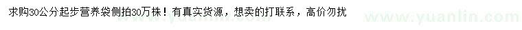 求購30公分起步側(cè)拍
