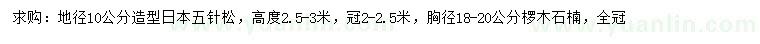 求購地徑10公分造型日本五針?biāo)伞⑿貜?8-20公分欏木石楠
