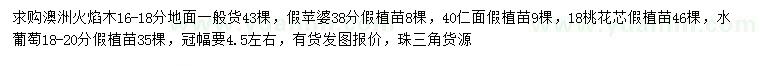 求購(gòu)澳洲火焰木、假蘋婆、仁面等