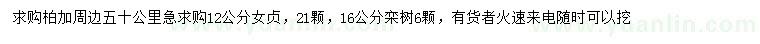 求購12公分女貞、16公分欒樹